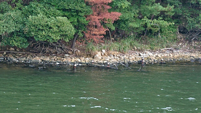 10月の三連休は行楽日和になりそうです